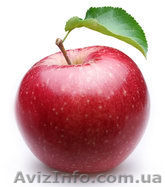 КУПЛЮ ЯБЛОКИ НА ПРОМ.ПЕРЕРАБОТКУ ОПТОМ ПО МАКСИМАЛЬНЫМ ЦЕНАМ - <ro>Изображение</ro><ru>Изображение</ru> #1, <ru>Объявление</ru> #937506