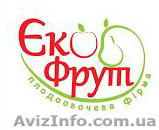 Экофрукт оптовая база - <ro>Изображение</ro><ru>Изображение</ru> #1, <ru>Объявление</ru> #1093901