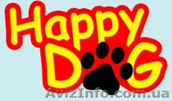 Одежда для собак, Обувь для собак - <ro>Изображение</ro><ru>Изображение</ru> #1, <ru>Объявление</ru> #1201823