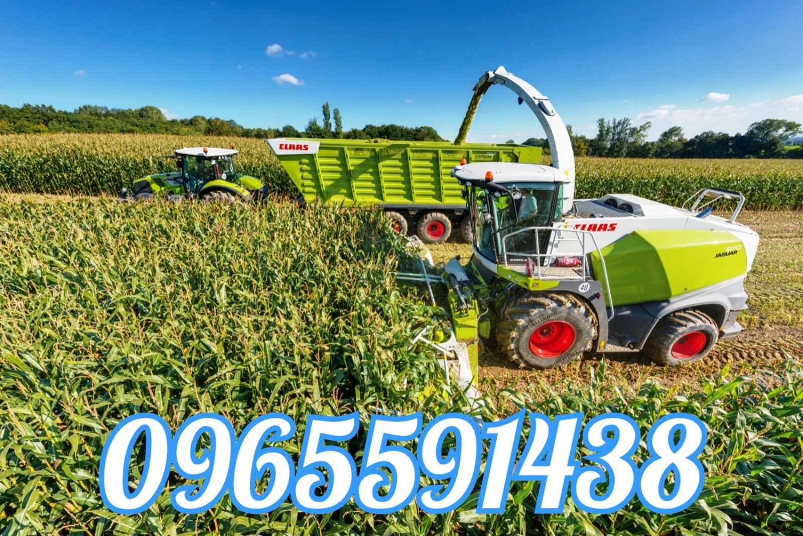 Услуги по уборке сенажа,силоса комбайнами ягуар,услуги силосоуборочных комбайнов - <ro>Изображение</ro><ru>Изображение</ru> #1, <ru>Объявление</ru> #1736657