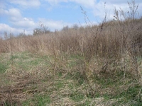 Продам дом с земельным участком в Хмельницкой обл. - <ro>Изображение</ro><ru>Изображение</ru> #2, <ru>Объявление</ru> #22864