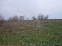 Продам земельный участок в Хмельницкой обл. - <ro>Изображение</ro><ru>Изображение</ru> #1, <ru>Объявление</ru> #22862
