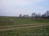 Продам земельный участок в Хмельницкой обл. - <ro>Изображение</ro><ru>Изображение</ru> #3, <ru>Объявление</ru> #22862