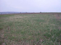 Продам земельный участок в Хмельницкой обл. - <ro>Изображение</ro><ru>Изображение</ru> #2, <ru>Объявление</ru> #22862