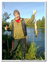 Сборщик ягод в Швеции - <ro>Изображение</ro><ru>Изображение</ru> #3, <ru>Объявление</ru> #173293