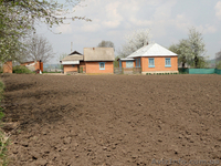 ТЕРМІНОВО продам будинок з прибудовами с.Яськівці - <ro>Изображение</ro><ru>Изображение</ru> #5, <ru>Объявление</ru> #286306