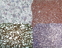 Шлифование бетонного пола - <ro>Изображение</ro><ru>Изображение</ru> #1, <ru>Объявление</ru> #439653