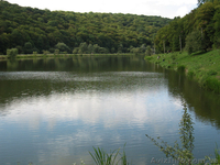 Дом для жилья и отдыха. - <ro>Изображение</ro><ru>Изображение</ru> #1, <ru>Объявление</ru> #661525