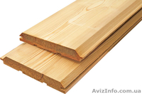 Лиственница сибирская Хмельницкий Украина - <ro>Изображение</ro><ru>Изображение</ru> #6, <ru>Объявление</ru> #153143