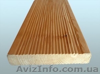 Лиственница сибирская Хмельницкий Украина - <ro>Изображение</ro><ru>Изображение</ru> #4, <ru>Объявление</ru> #153143