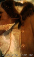 Дубленка, женская, 48р. - <ro>Изображение</ro><ru>Изображение</ru> #3, <ru>Объявление</ru> #807406