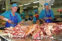 Разнорабочие на мясокомбинат. Польша - <ro>Изображение</ro><ru>Изображение</ru> #1, <ru>Объявление</ru> #815199