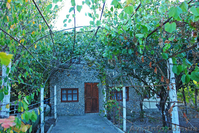 Дача 65 м² пгт. Орджоникидзе 4 сот. Крымский п-в Феодосия - <ro>Изображение</ro><ru>Изображение</ru> #2, <ru>Объявление</ru> #841619