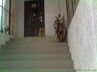 Продается  3-х этажный дом, в  г.Хмельницкий, ул Свитанкова - <ro>Изображение</ro><ru>Изображение</ru> #2, <ru>Объявление</ru> #864018