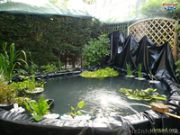 Пвх пленка для пруда Агрилак, Изофол купить - <ro>Изображение</ro><ru>Изображение</ru> #4, <ru>Объявление</ru> #892000