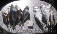 Сушена вялена риба - <ro>Изображение</ro><ru>Изображение</ru> #1, <ru>Объявление</ru> #897019