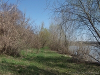 земля на днестре - <ro>Изображение</ro><ru>Изображение</ru> #2, <ru>Объявление</ru> #894116