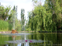 Семейный и детский отдых на Азовском море - <ro>Изображение</ro><ru>Изображение</ru> #2, <ru>Объявление</ru> #904164