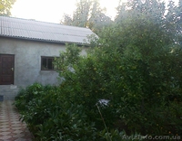 Продам домовладение Хмельницкая область пгт  Новая Ушица   - <ro>Изображение</ro><ru>Изображение</ru> #5, <ru>Объявление</ru> #934870