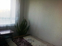 Продам домовладение Хмельницкая область пгт  Новая Ушица   - <ro>Изображение</ro><ru>Изображение</ru> #10, <ru>Объявление</ru> #934870