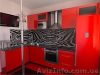 Скинали - декоративный фартук из стекла - <ro>Изображение</ro><ru>Изображение</ru> #3, <ru>Объявление</ru> #979267