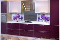 Скинали - декоративный фартук из стекла - <ro>Изображение</ro><ru>Изображение</ru> #6, <ru>Объявление</ru> #979267