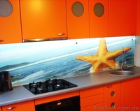 Скинали - декоративный фартук из стекла - <ro>Изображение</ro><ru>Изображение</ru> #7, <ru>Объявление</ru> #979267