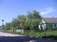 Продам будинок в с.Соснівка Славутського району Хмельницької області - <ro>Изображение</ro><ru>Изображение</ru> #2, <ru>Объявление</ru> #900304