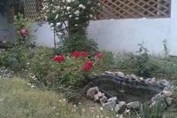 Отдых и оздоровление на Азовском море п.Генгорка, рядом панс.Мелиоратор - <ro>Изображение</ro><ru>Изображение</ru> #4, <ru>Объявление</ru> #907267