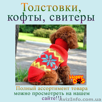 Одежда для собак, Обувь для собак, Аксессуары для собак - <ro>Изображение</ro><ru>Изображение</ru> #2, <ru>Объявление</ru> #1202079