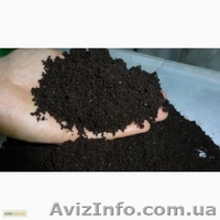 семья червей Старатель - <ro>Изображение</ro><ru>Изображение</ru> #1, <ru>Объявление</ru> #1224922