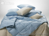 Наперник герменський - <ro>Изображение</ro><ru>Изображение</ru> #5, <ru>Объявление</ru> #1263767