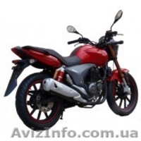 Продажа скутеров, мотоциклов, квадроциклов и другой мототехники. - <ro>Изображение</ro><ru>Изображение</ru> #6, <ru>Объявление</ru> #1301068