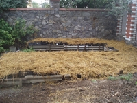 Продажа маточного поголовья технологических червей для биогумуса и для рыбалки - <ro>Изображение</ro><ru>Изображение</ru> #2, <ru>Объявление</ru> #1314138