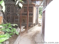 Продам дом в Новой Ушице - <ro>Изображение</ro><ru>Изображение</ru> #9, <ru>Объявление</ru> #1547689