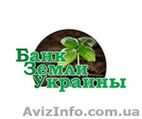 Инвестиции в Инфо-риэлтор-й бизнес Аграрного рынка Украины - <ro>Изображение</ro><ru>Изображение</ru> #1, <ru>Объявление</ru> #1571897