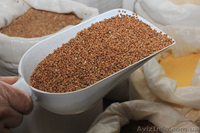 Гречка від виробника ГОСТ  5550-74 - <ro>Изображение</ro><ru>Изображение</ru> #2, <ru>Объявление</ru> #1596963