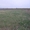 Продам земельный участок в Хмельницкой обл. - <ro>Изображение</ro><ru>Изображение</ru> #2, <ru>Объявление</ru> #22862