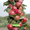 Саженцы колоновидных плодовых деревьев - <ro>Изображение</ro><ru>Изображение</ru> #2, <ru>Объявление</ru> #162867