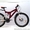 Продам  подростковый  велосипед Хмельницкий - <ro>Изображение</ro><ru>Изображение</ru> #3, <ru>Объявление</ru> #208579