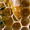 Продам пчеломаток итальянской породы #825060