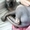 Вязка канадский сфинкс - <ro>Изображение</ro><ru>Изображение</ru> #2, <ru>Объявление</ru> #846699