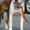 Высокопородные щенки американского стаффордширского терьера  - <ro>Изображение</ro><ru>Изображение</ru> #1, <ru>Объявление</ru> #816537