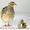 Реализуем отборные инкубационные яйца перепелов  - <ro>Изображение</ro><ru>Изображение</ru> #4, <ru>Объявление</ru> #1252790