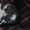 Разумная кошечка Китти в добрые руки - <ro>Изображение</ro><ru>Изображение</ru> #10, <ru>Объявление</ru> #1512129