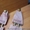 Продам Кедровые колодки формодержатели для обуви, 570 грн. - <ro>Изображение</ro><ru>Изображение</ru> #4, <ru>Объявление</ru> #1635919