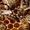 пчелопакеты карника - <ro>Изображение</ro><ru>Изображение</ru> #2, <ru>Объявление</ru> #1052930