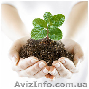 Продаем средства защиты растений оптом по доступным ценам - <ro>Изображение</ro><ru>Изображение</ru> #1, <ru>Объявление</ru> #511351