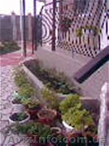 Недорогой отдых в Крыму!