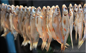 Сушена,вялена риба (таранька) власного виробництва оптом - <ro>Изображение</ro><ru>Изображение</ru> #1, <ru>Объявление</ru> #796470